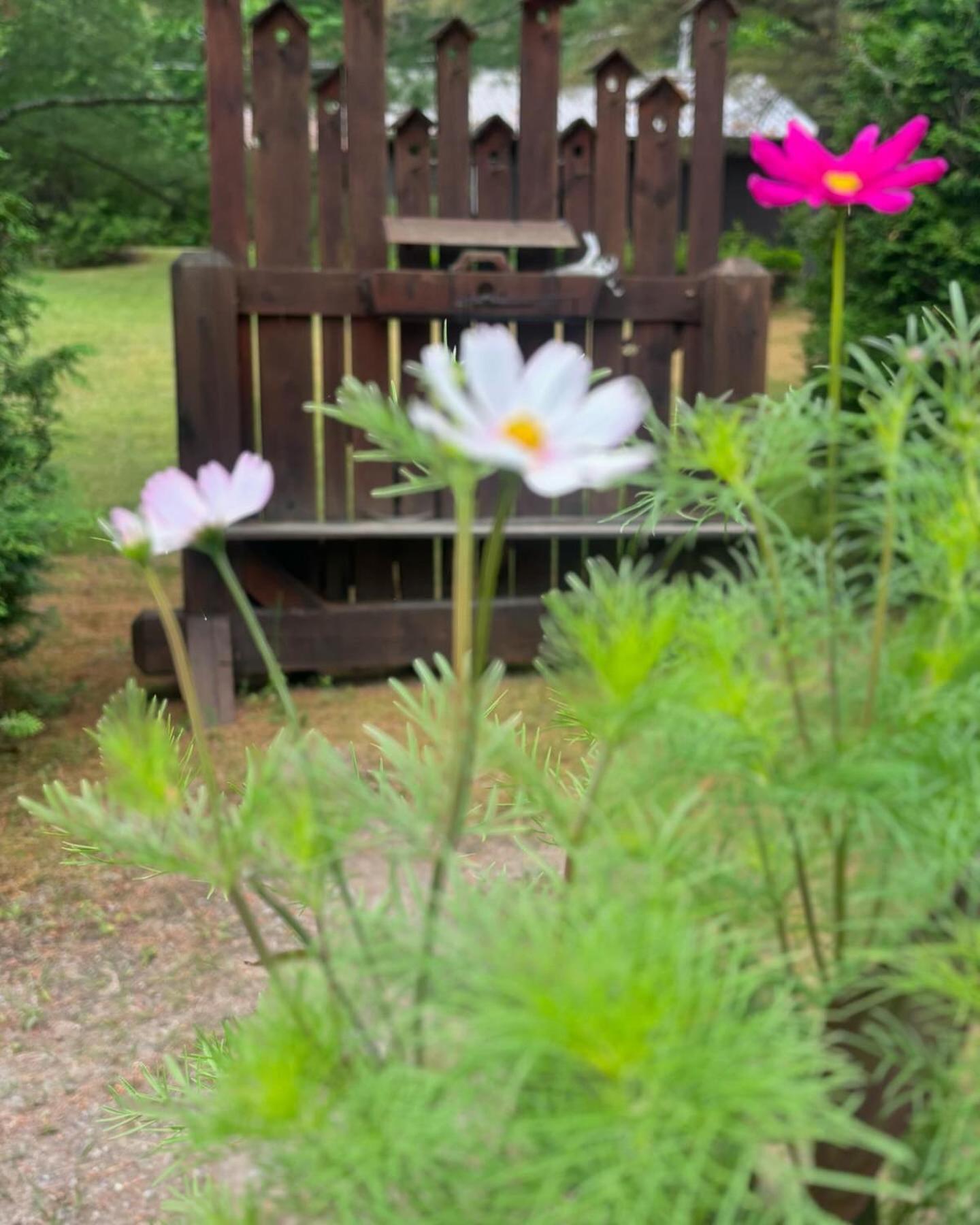 Domaine Chalets Des Pins Rawdon Buitenkant foto
